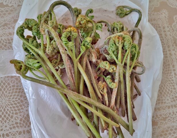 IMG_20220423_101121478_HDR
