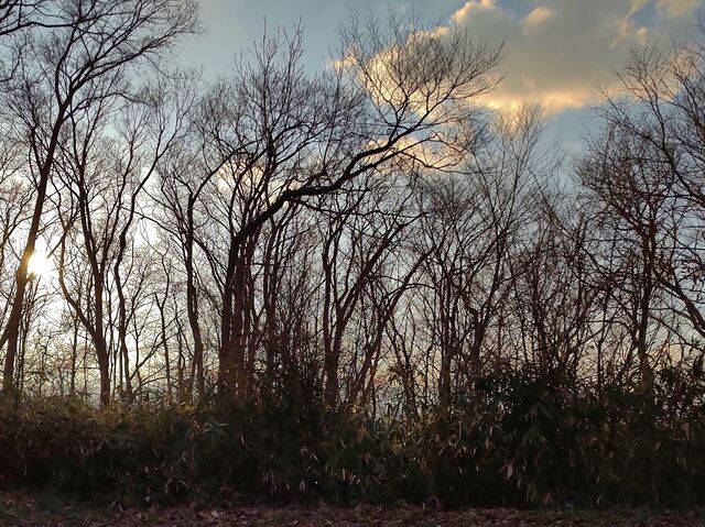 IMG_20220310_164311903