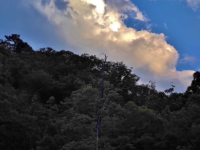 IMG_20220704_181151774