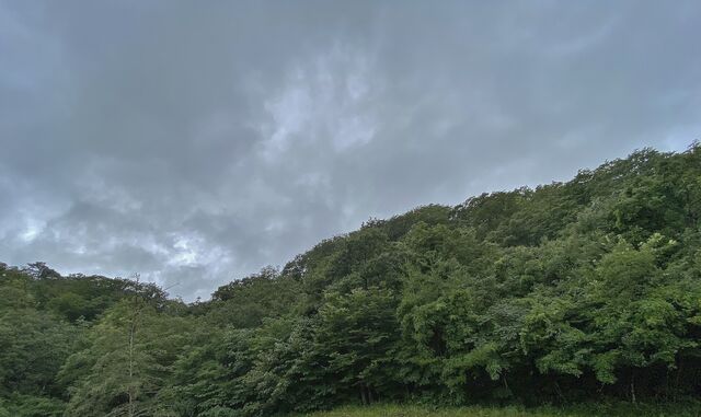 IMG_6299
