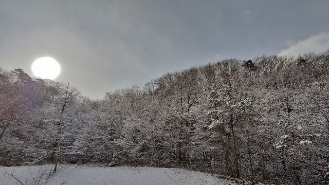 IMG_20230102_100250446_HDR