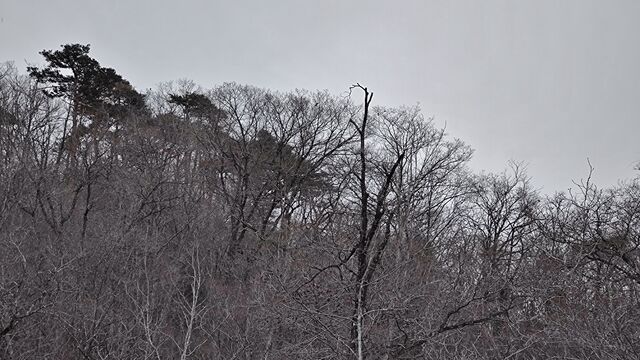 IMG_20221229_122908144