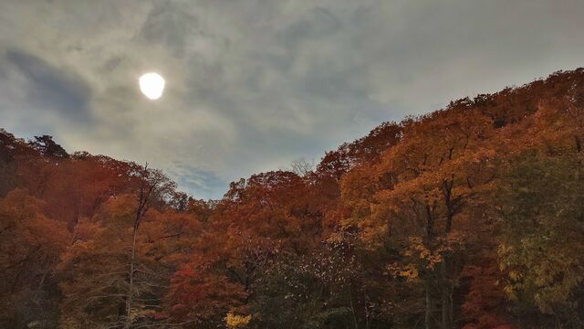 IMG_20221113_101312733_HDR