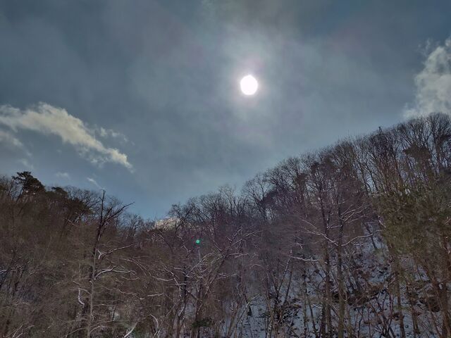 IMG_20220223_122018259_HDR