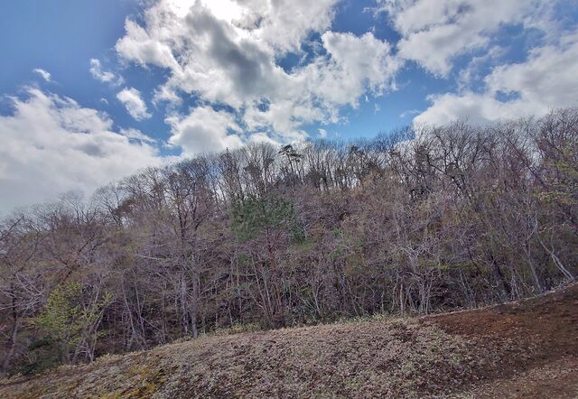 IMG_20220416_125658918_HDR