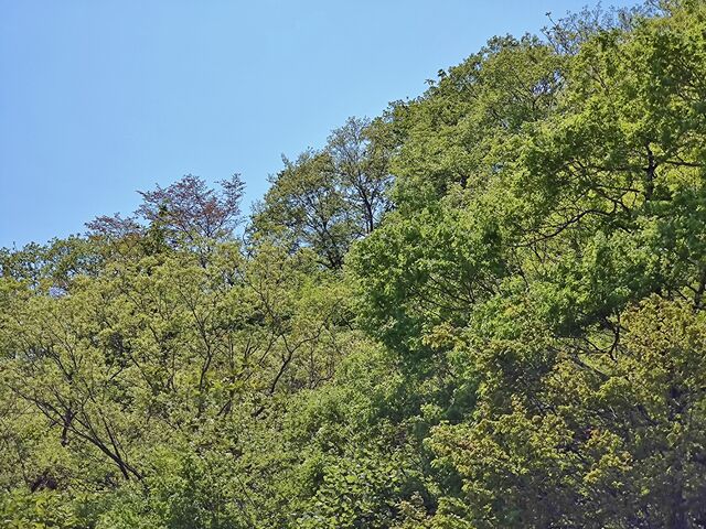 IMG_20220504_113513176