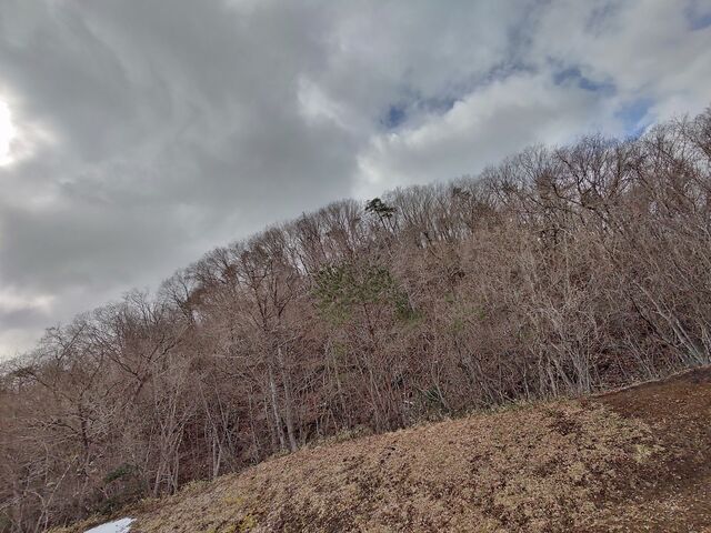 IMG_20220307_110228218_HDR