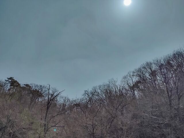 IMG_20220312_122321926_HDR_edited