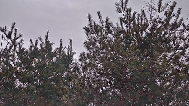 IMG_20230114_114529211