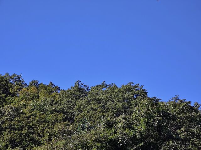 IMG_20220910_101911666