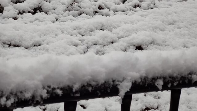 IMG_20221216_064414012