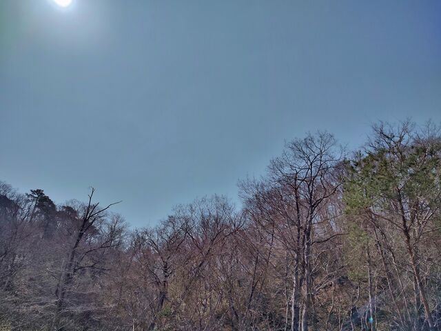 IMG_20220410_095843121_HDR
