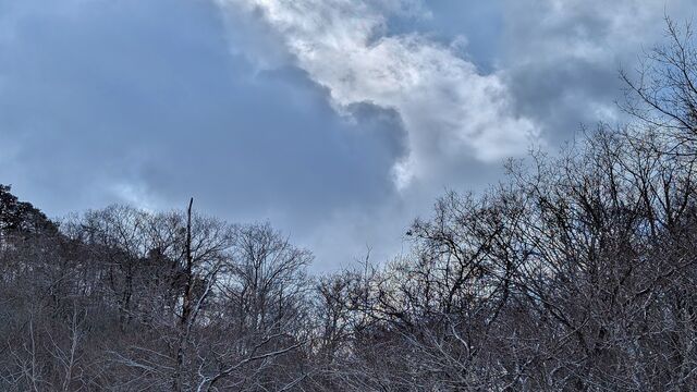 PXL_20260122_012135915