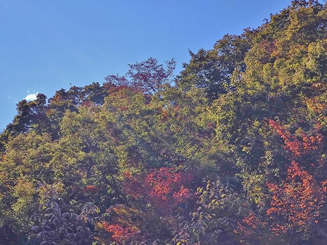 IMG_20221029_101440943