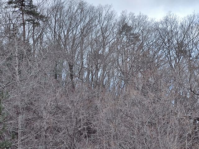 IMG_20220307_110309440