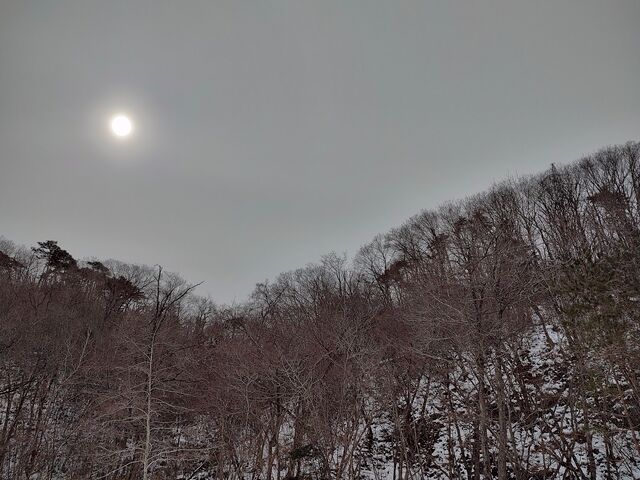 IMG_20220219_102801590_HDR