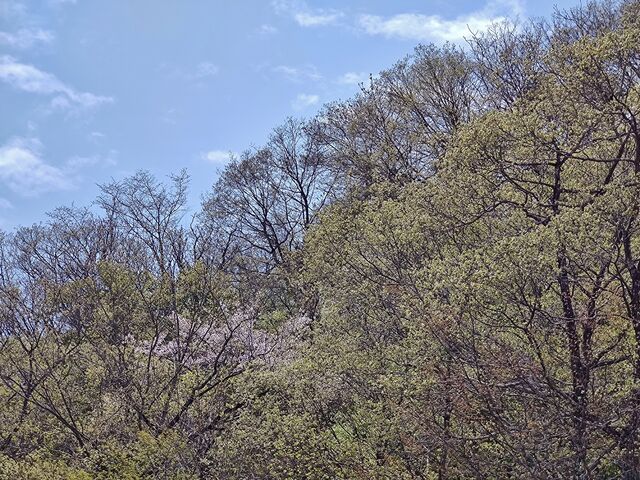 IMG_20220423_114542718