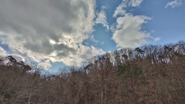 IMG_20230122_111228504_HDR