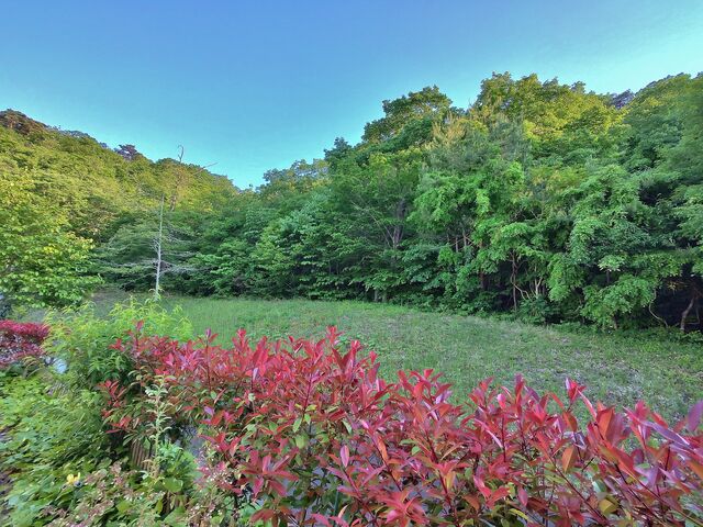 IMG_20220524_172642676_HDR
