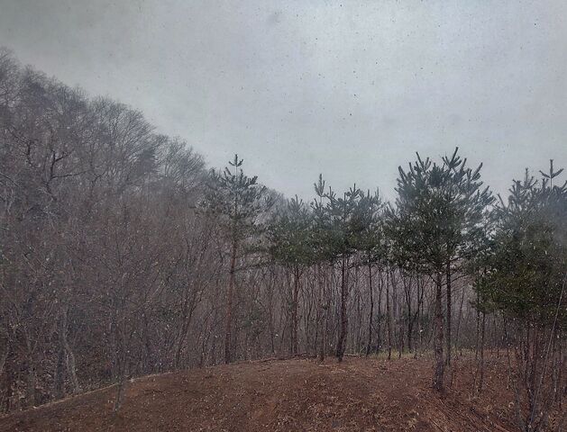 IMG_20220322_113245584_HDR