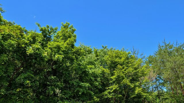 PXL_20260529_013602896