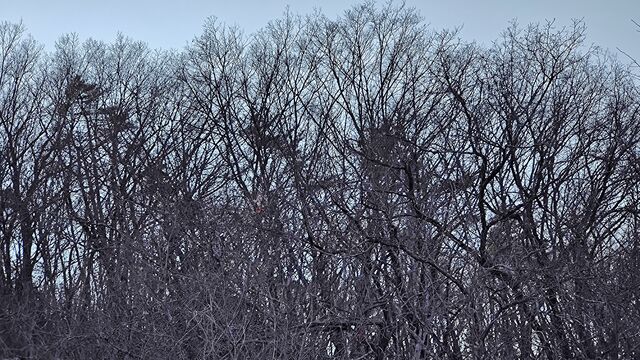 IMG_20221211_133840616