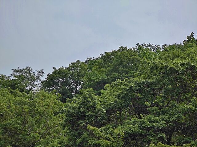 IMG_20220521_131218840