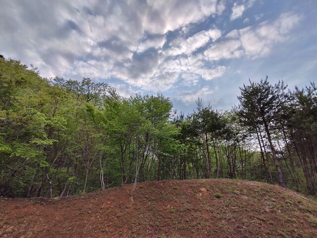 IMG_20220502_171031653_HDR