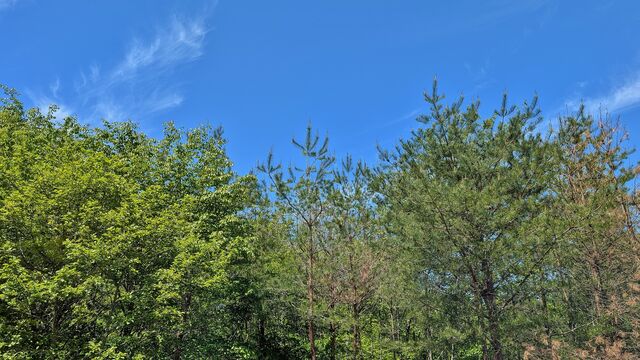 PXL_20260506_013200714