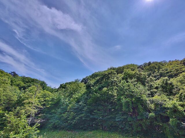 IMG_20220703_140219649_HDR