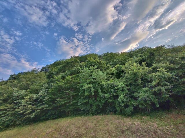 IMG_20220809_175012354_HDR