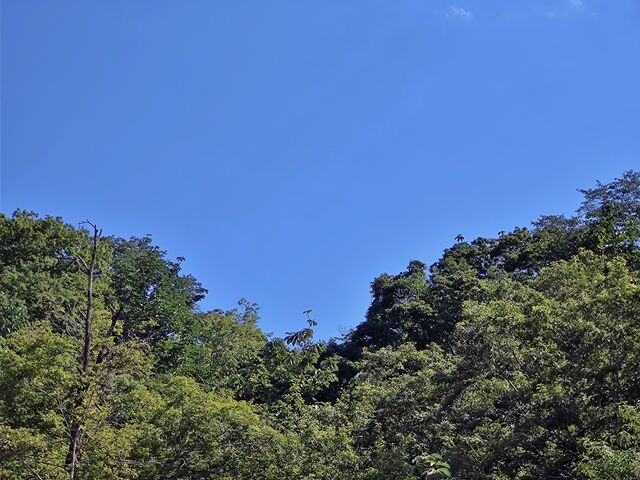 IMG_20220821_135823481
