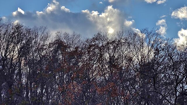 IMG_20221126_145843226