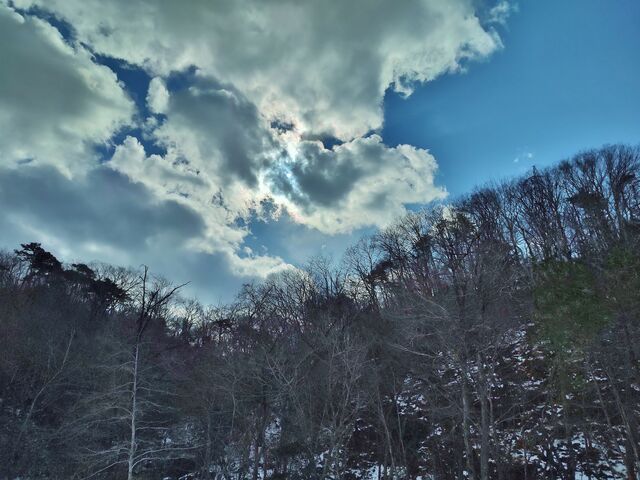 IMG_20220130_115041919_HDR