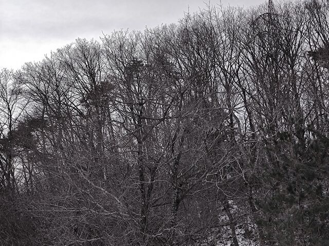 IMG_20220213_104008138
