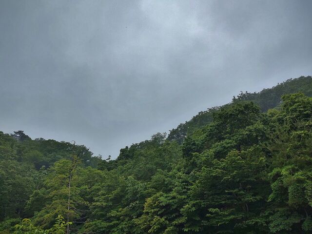 IMG_20220623_181100046_HDR