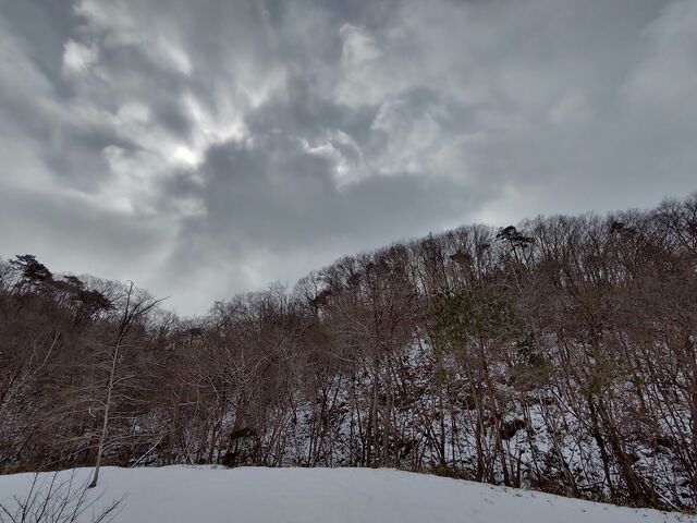IMG_20220206_112930480_HDR