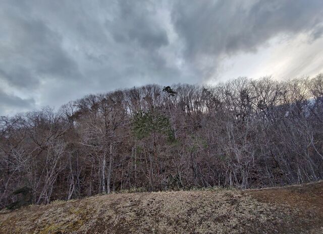 IMG_20220331_174127184_HDR