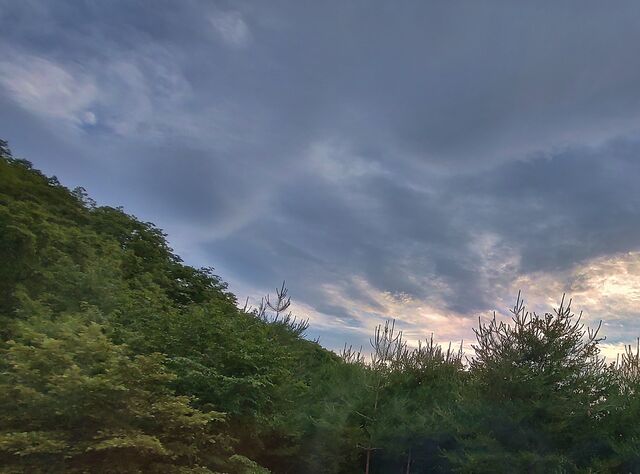 IMG_20220628_183211438_HDR - コピー