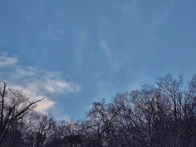 IMG_20220129_162307722