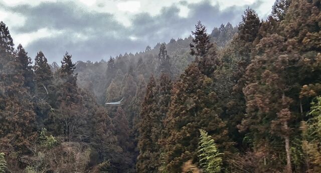 IMG_1471 (640x345)