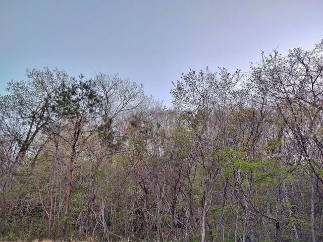 IMG_20220422_180609472_HDR