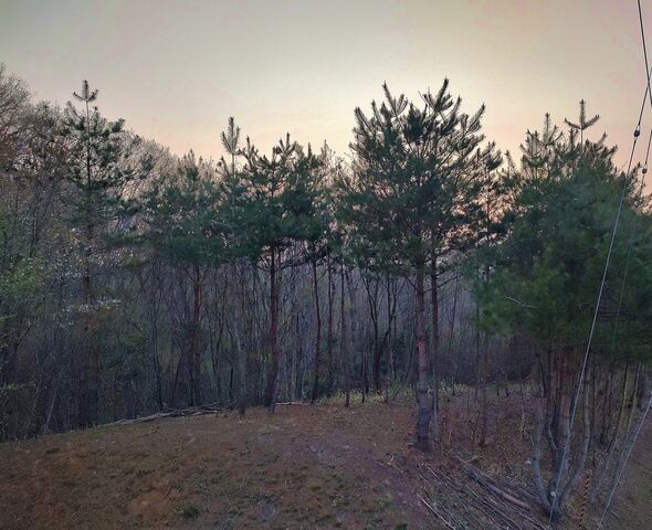 IMG_20220419_182116333_HDR