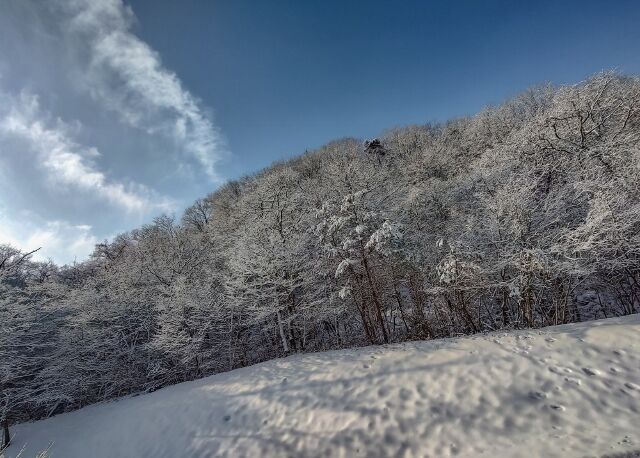 IMG_20220211_091439276_HDR_edited_edited (640x458)