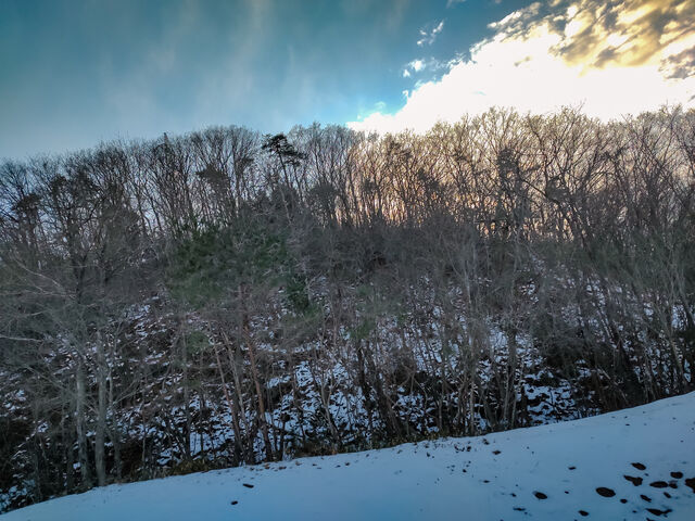 IMG_20220129_160103978_edited
