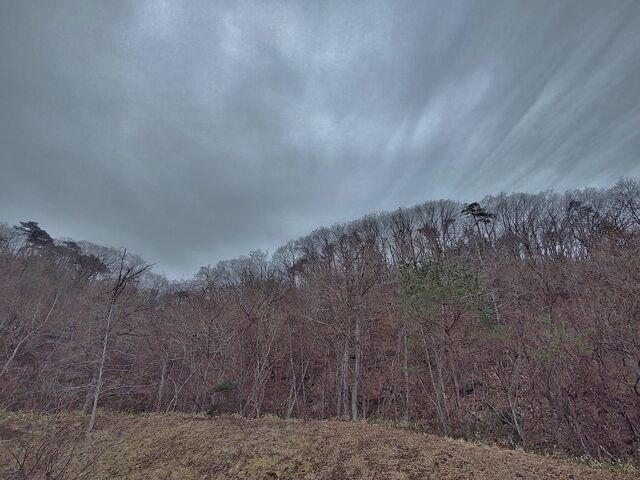 IMG_20220313_095520547_HDR