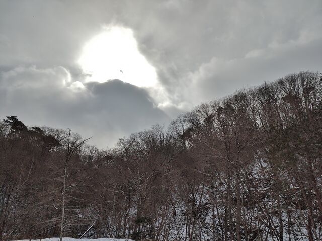 IMG_20220206_113106342
