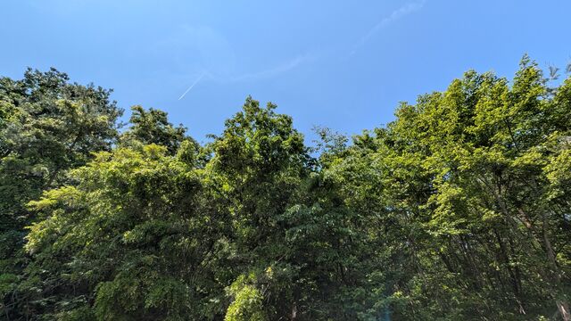 PXL_20260517_013824777