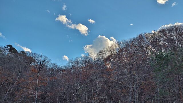 IMG_20221126_145741965_HDR