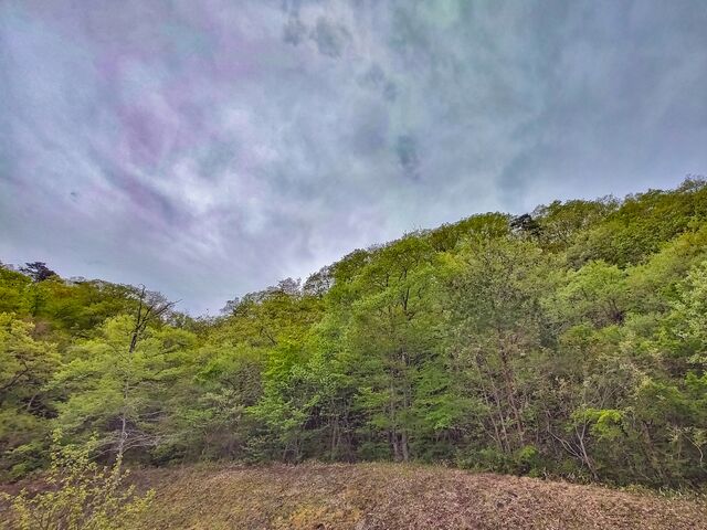 IMG_20220501_072801789_HDR_edited
